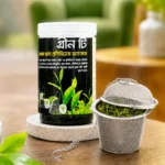 প্রিমিয়াম গ্রীন টি + স্টেইনলেস স্টিল চা ছাকনি